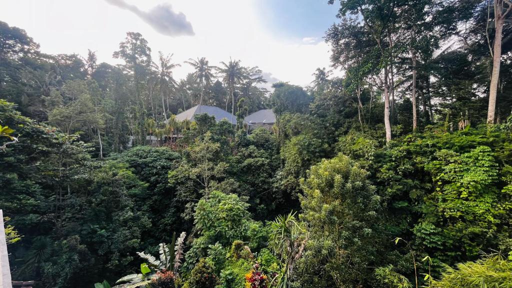 nadiya-jungle-ubud-home1.jpg